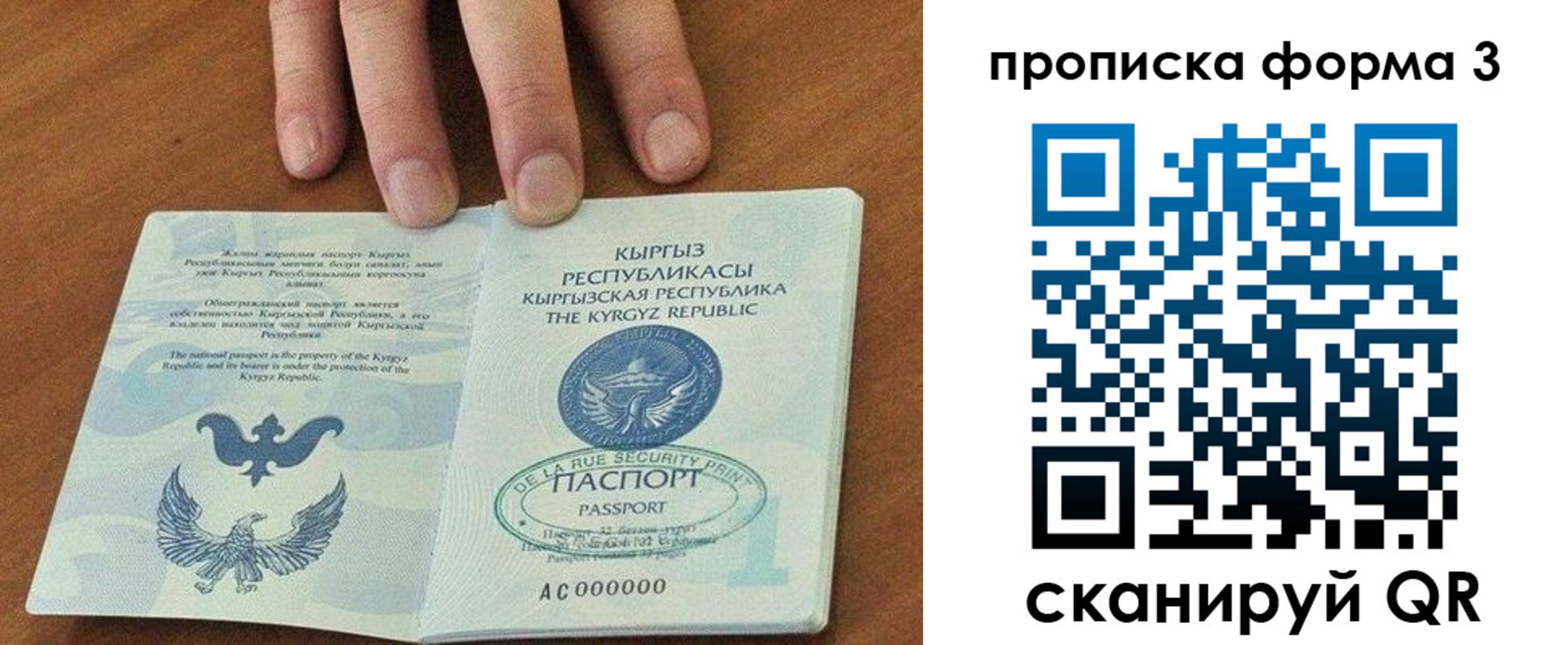 прописка 2025 в Лузе